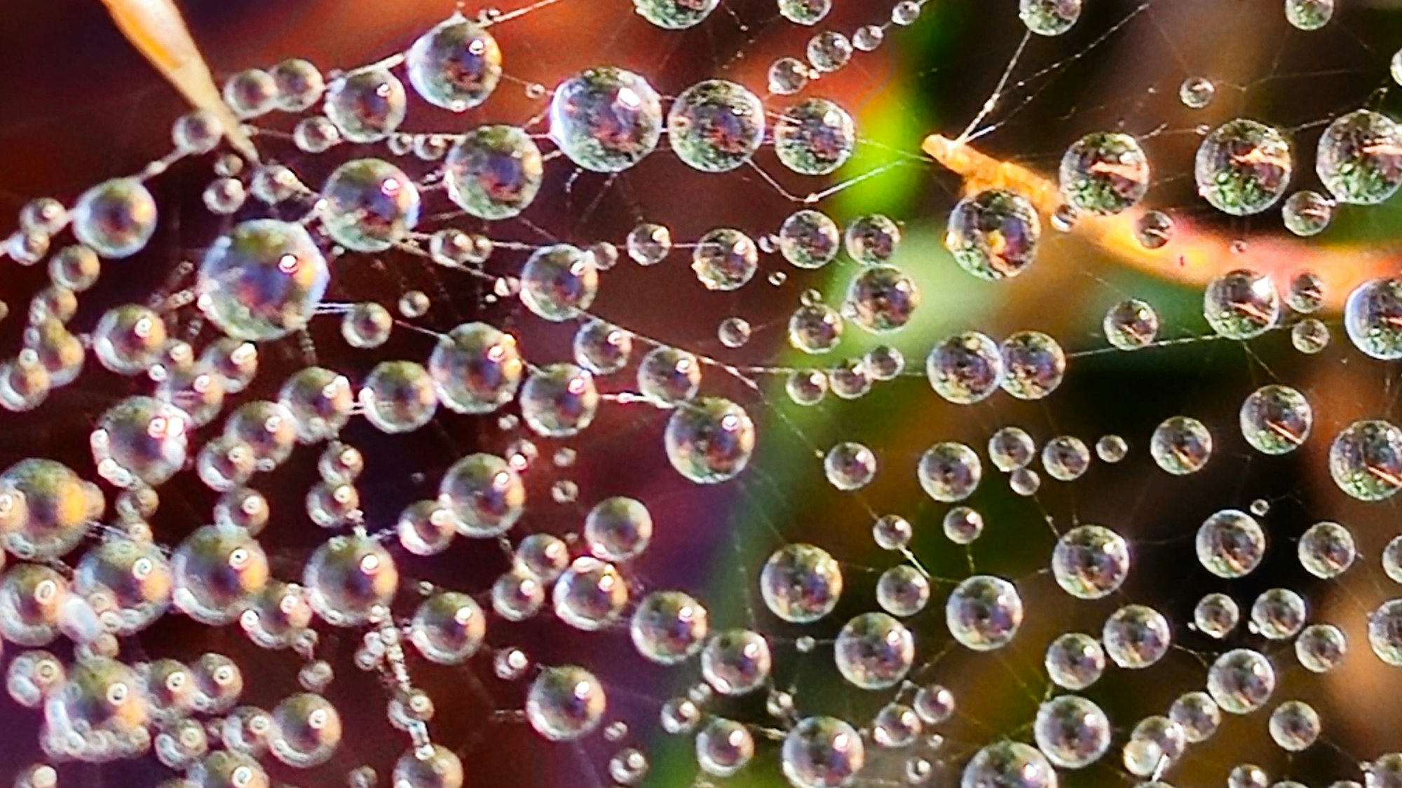 Burkhard Engel gewinnt den Fotowettbewerb unserer Zeitung mit einer wunderschönenen Naturaufnahme, die bei einer Wandertour im Siegerland entstanden ist.