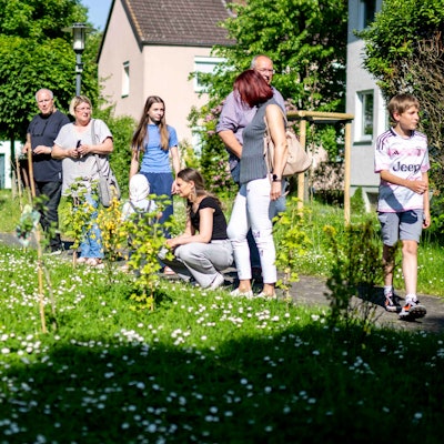 Das Bild zeigt einige Menschen, die sich die frisch gepflanzten Bäume und Sträcuher etwas genauer ansehen.