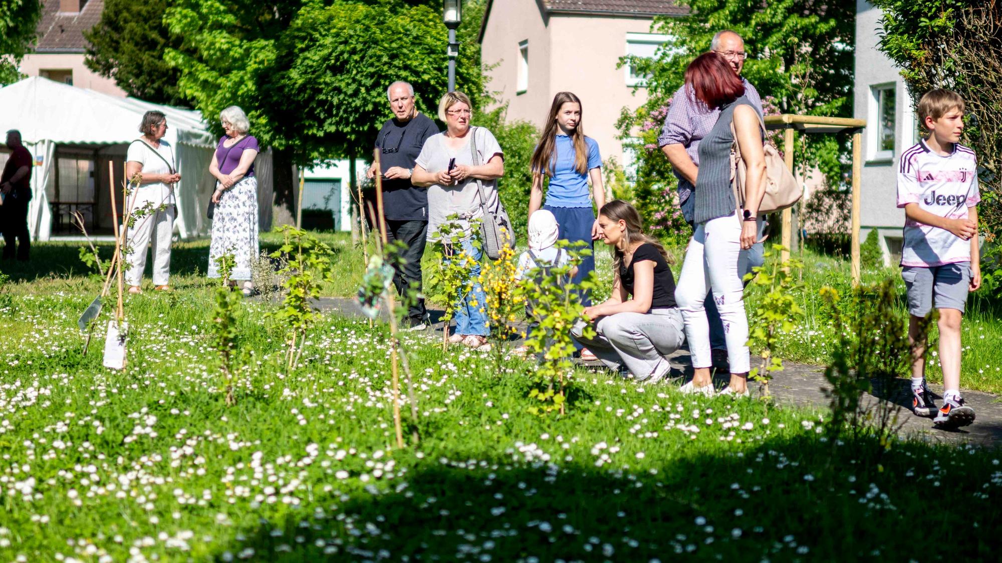 Das Bild zeigt einige Menschen, die sich die frisch gepflanzten Bäume und Sträcuher etwas genauer ansehen.