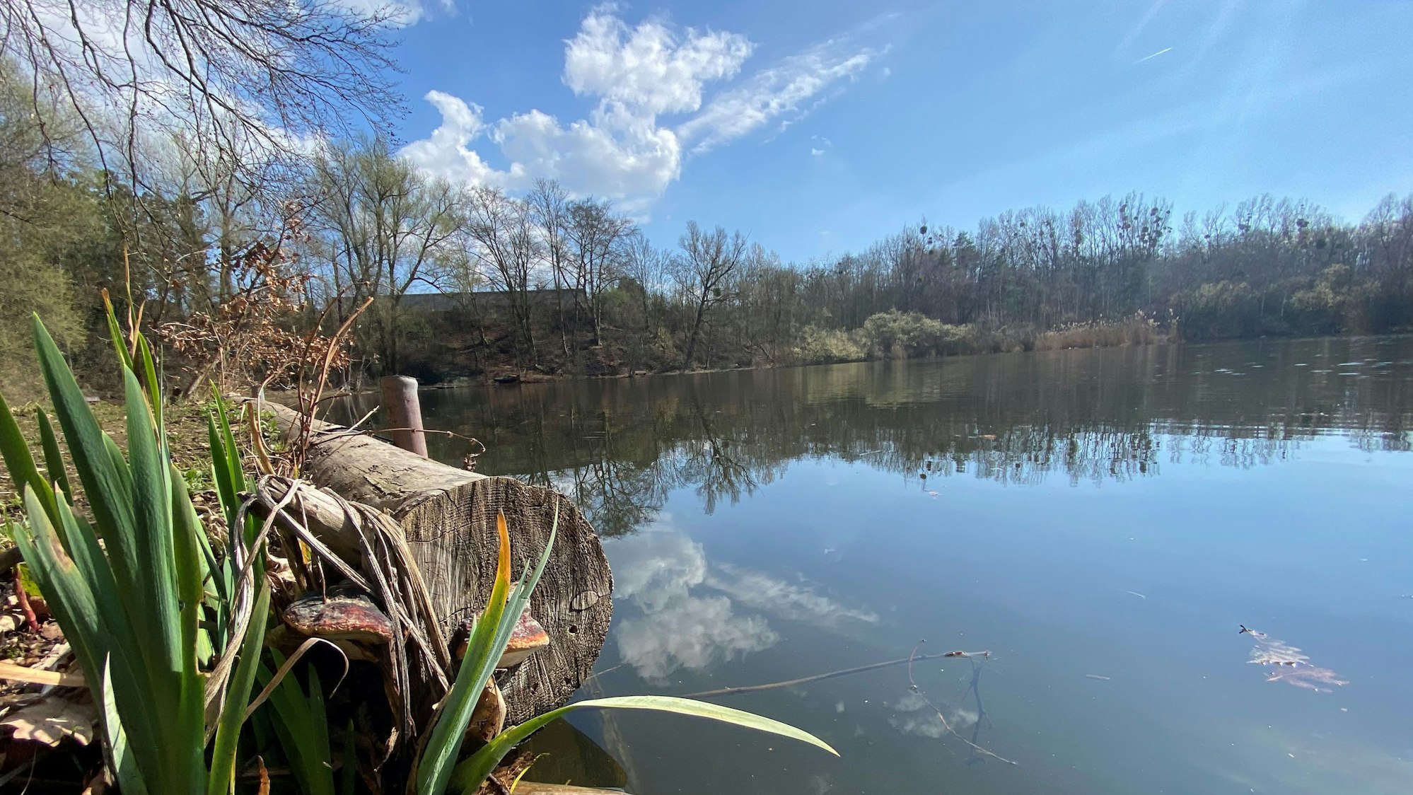 Zu sehen ist der sogenannte Ententeich.