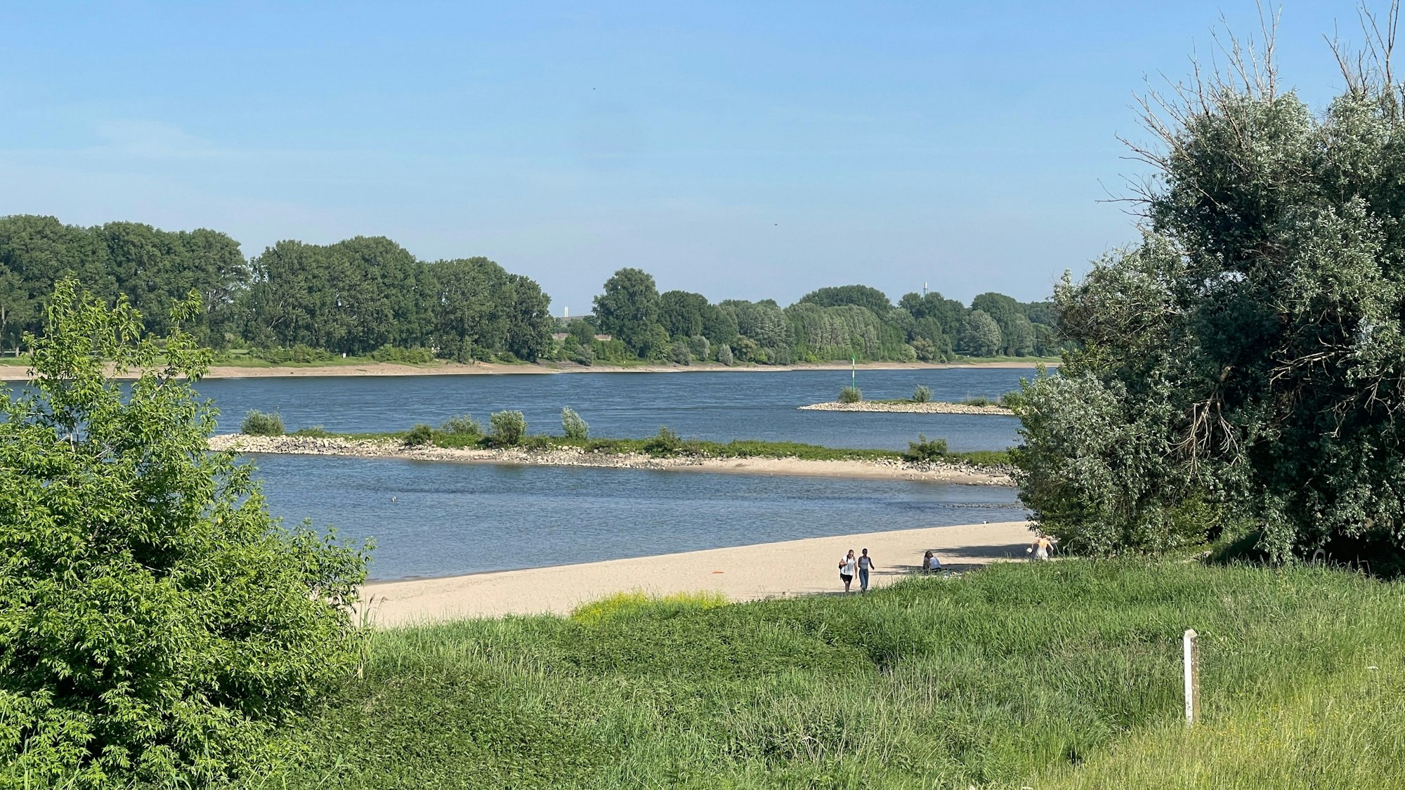 Rheinaue an der Langeler Fähre in Köln.