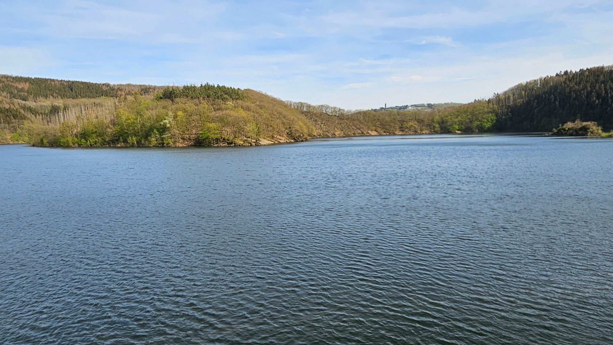 Blick auf den Urftsee.