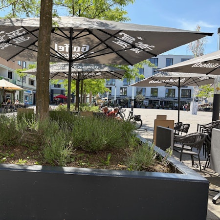 Am Maternusplatz in Rodenkirchen warten viele Blumenkästen auf Pflege.