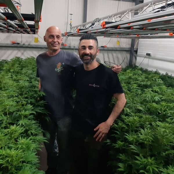 Das Foto zeigt Stephan Teine und Kayal von „Cannabis First“ in ihrer Halle mit Cannabispflanzen.