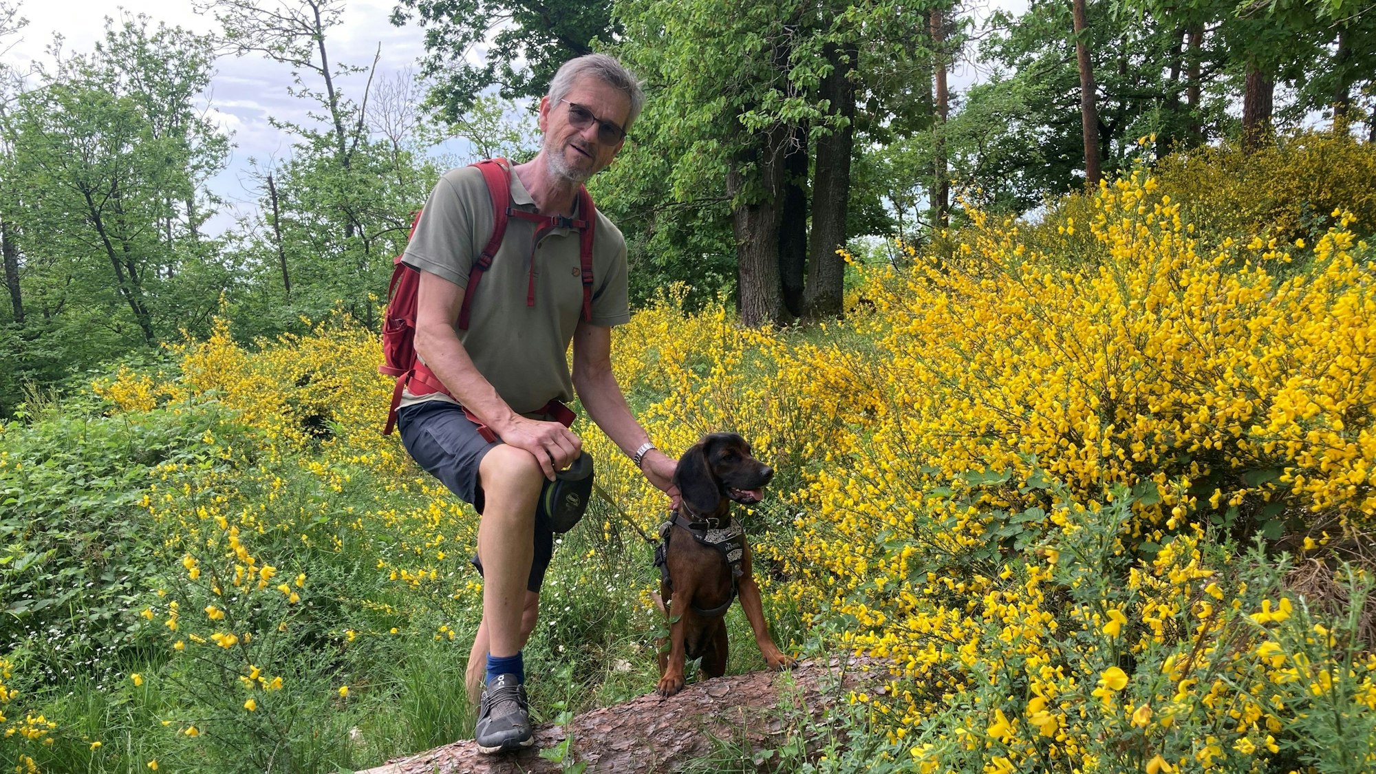 Uwe Schölmerich beobachtete die Wälder der Gegend Jahrzehnte lang als Forstamtsleiter Rhein-Sieg-Erft.