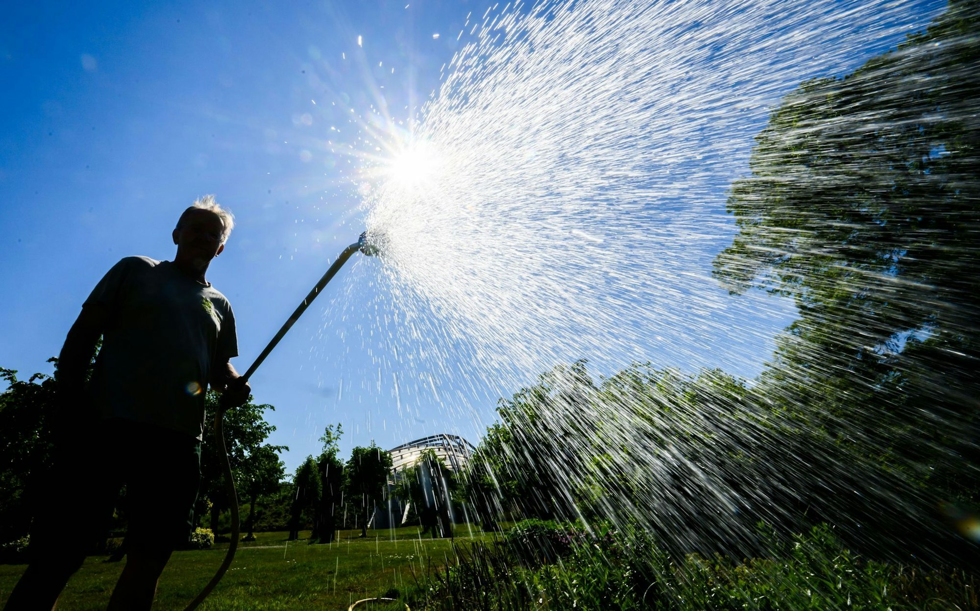 Auch in manchen Gärten ist der Wasserbedarf schon groß.