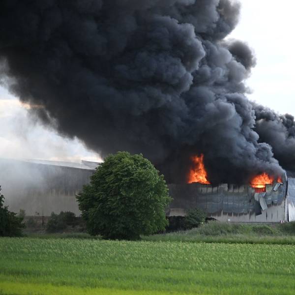 Das Bild zeigt das Feuer.
