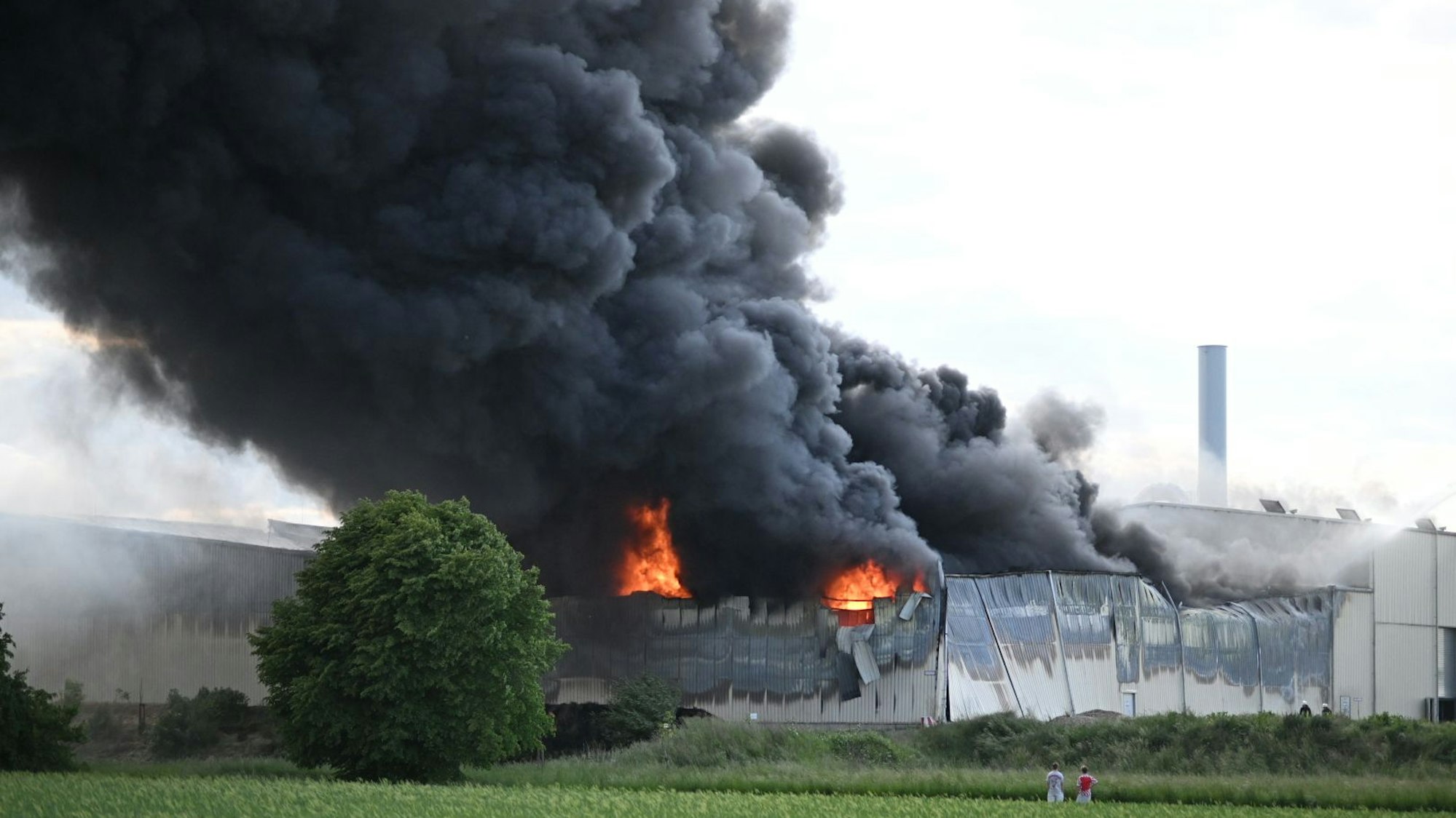 Das Bild zeigt das Feuer.