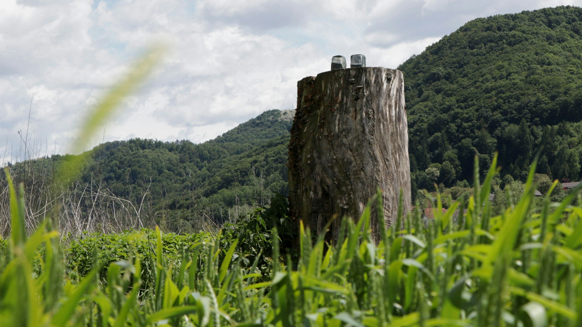 Nur die Knöchel der abgesägten und entfernten Bronzestatue, die Melania Trump darstellt, blieben stehen.