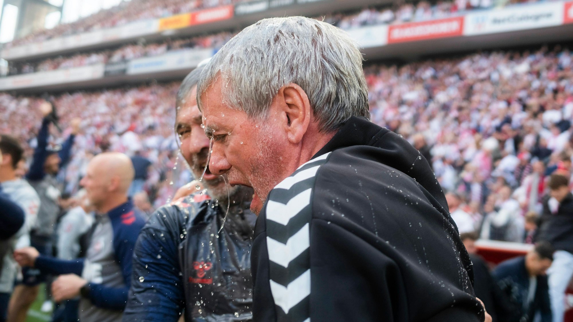 Friedhelm Funkel und sein Assistent Matthias Lust feiern den Aufstieg.
