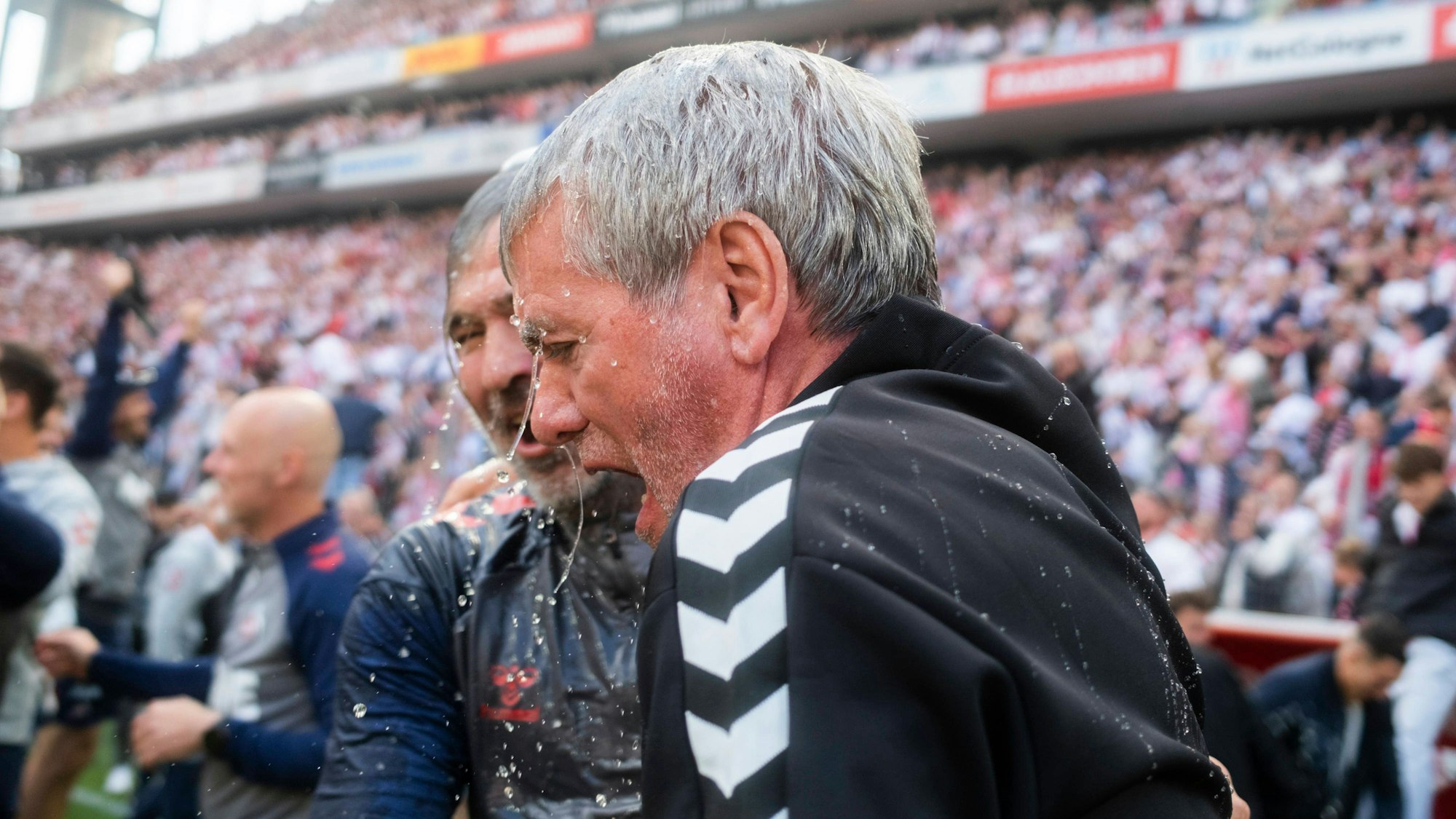 Friedhelm Funkel und sein Assistent Matthias Lust feiern den Aufstieg.