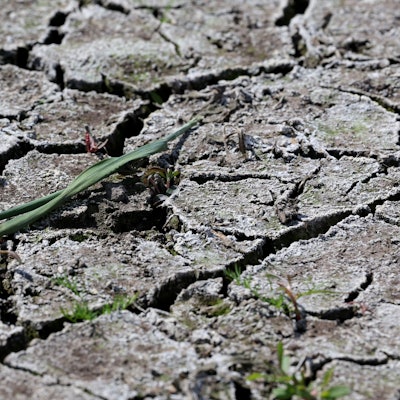 Auf einer ausgetrockneten Wasser-Ansammlung auf einem Acker haben sich Risse gebildet.
