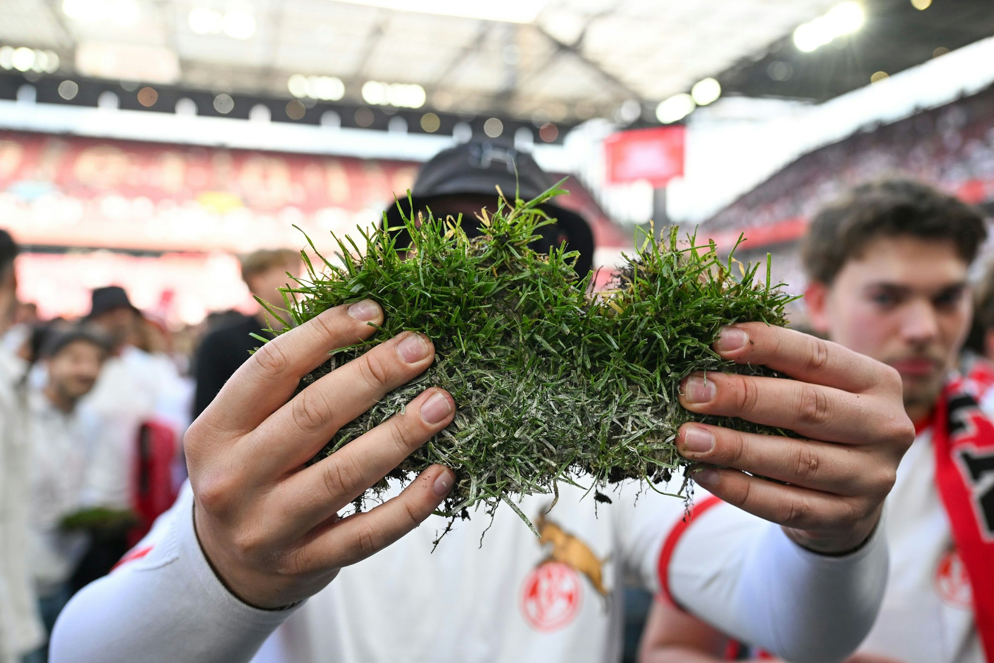 Ein Stück Spielrasen hat sich ein FC-Fan bei den Feierlichkeiten zum Aufstieg und der Zweitliga-Meisterschaft des 1. FC Köln gesichert.