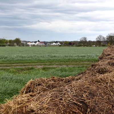 Das Bild zeigt ein grünes Feld. Im Hintergrund sieht man einige Gebäude, eine Kirchturmspitze, einen Kran.
