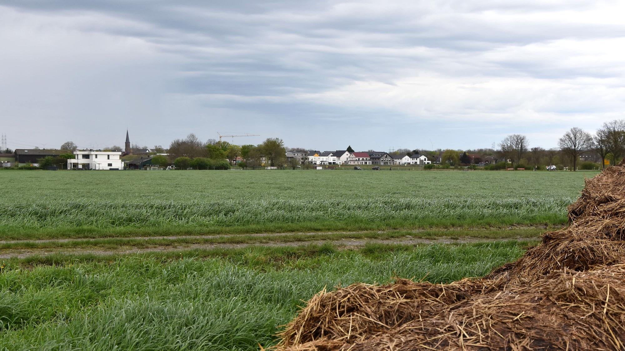 Das Bild zeigt ein grünes Feld. Im Hintergrund sieht man einige Gebäude, eine Kirchturmspitze, einen Kran.