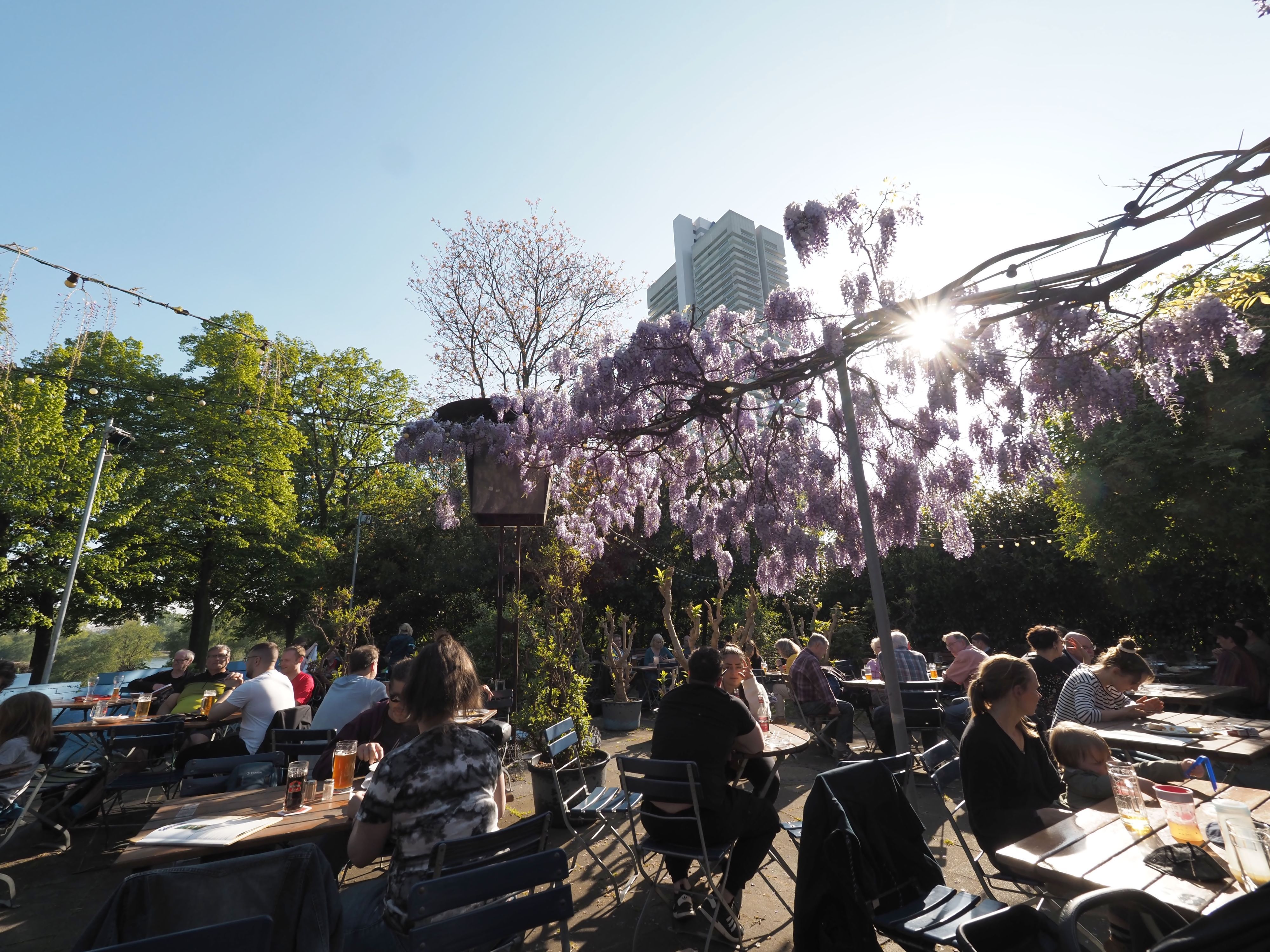 Der Sommergarten Altes Schwimmbad in Riehl. (Archivbild)