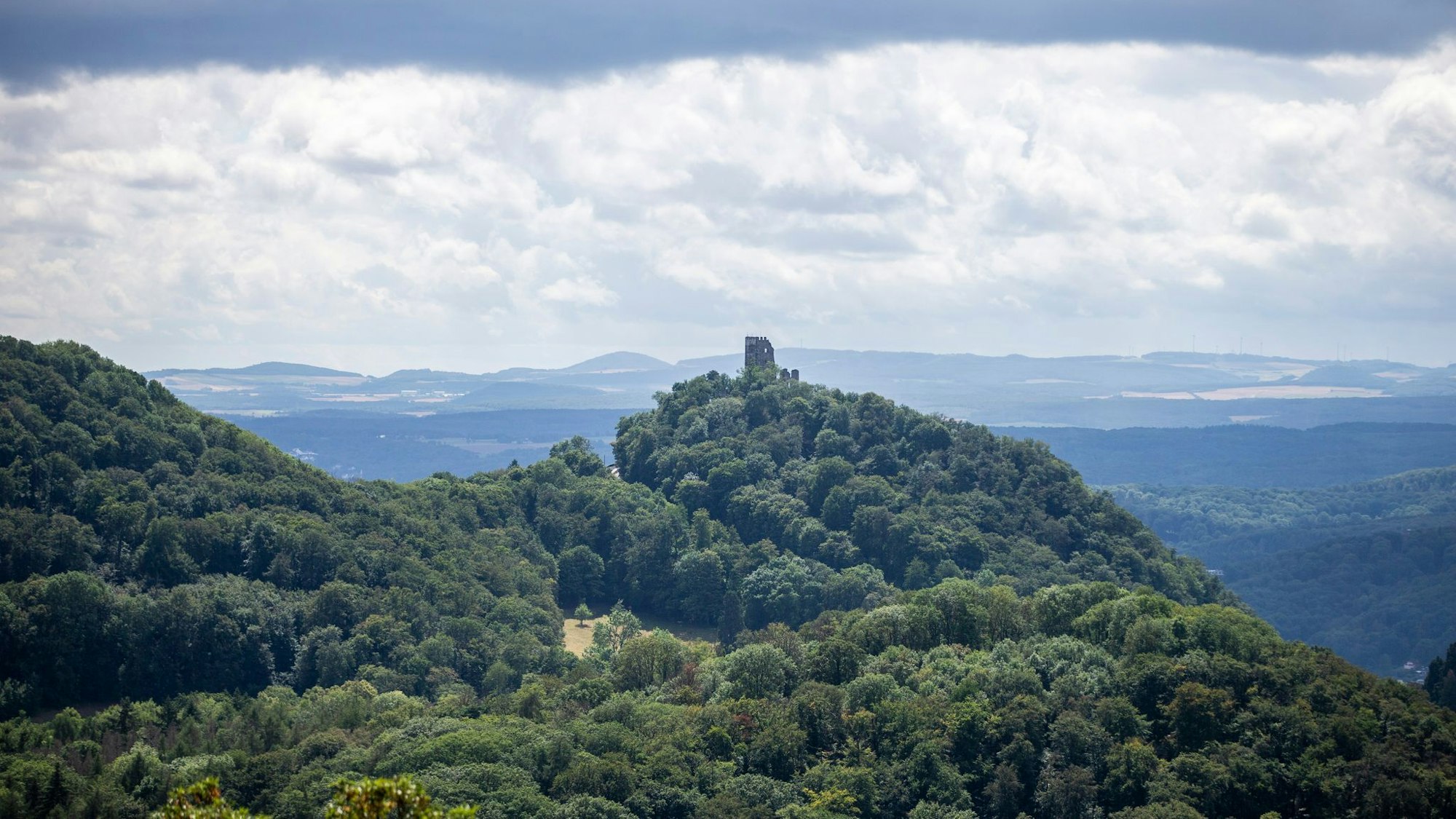 Am kommenden Wochenende bieten die zwölf Naturparke und der einzige Nationalpark in Nordrhein-Westfalen besondere Naturerlebnisse für Besucher. (Archivbild)
