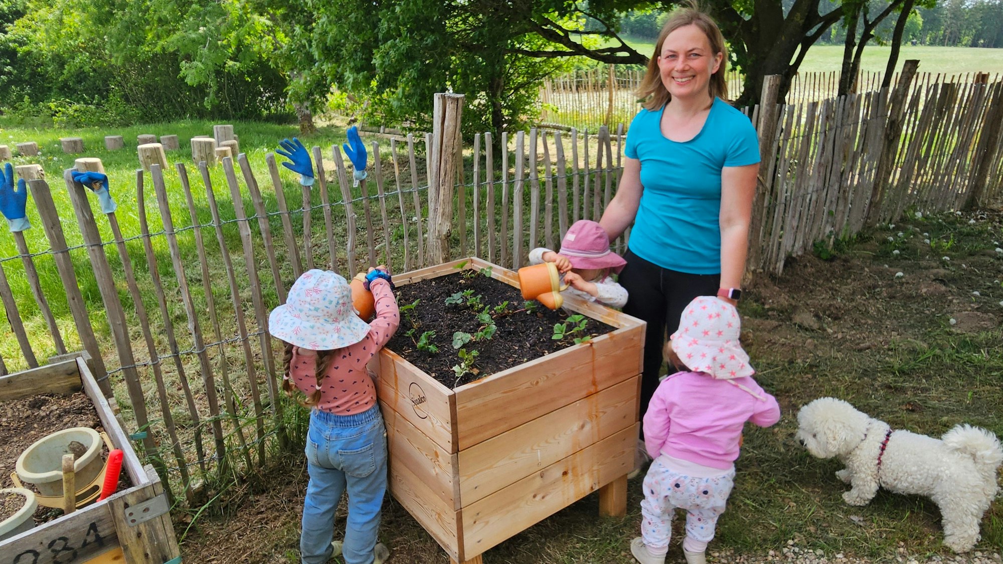 Eine Frau in türkisfarbenen T-Shirt steht mit drei kleinen Kindern und einem weißen Hund an einem Hochbeet mit Erdbeerpflanzen.