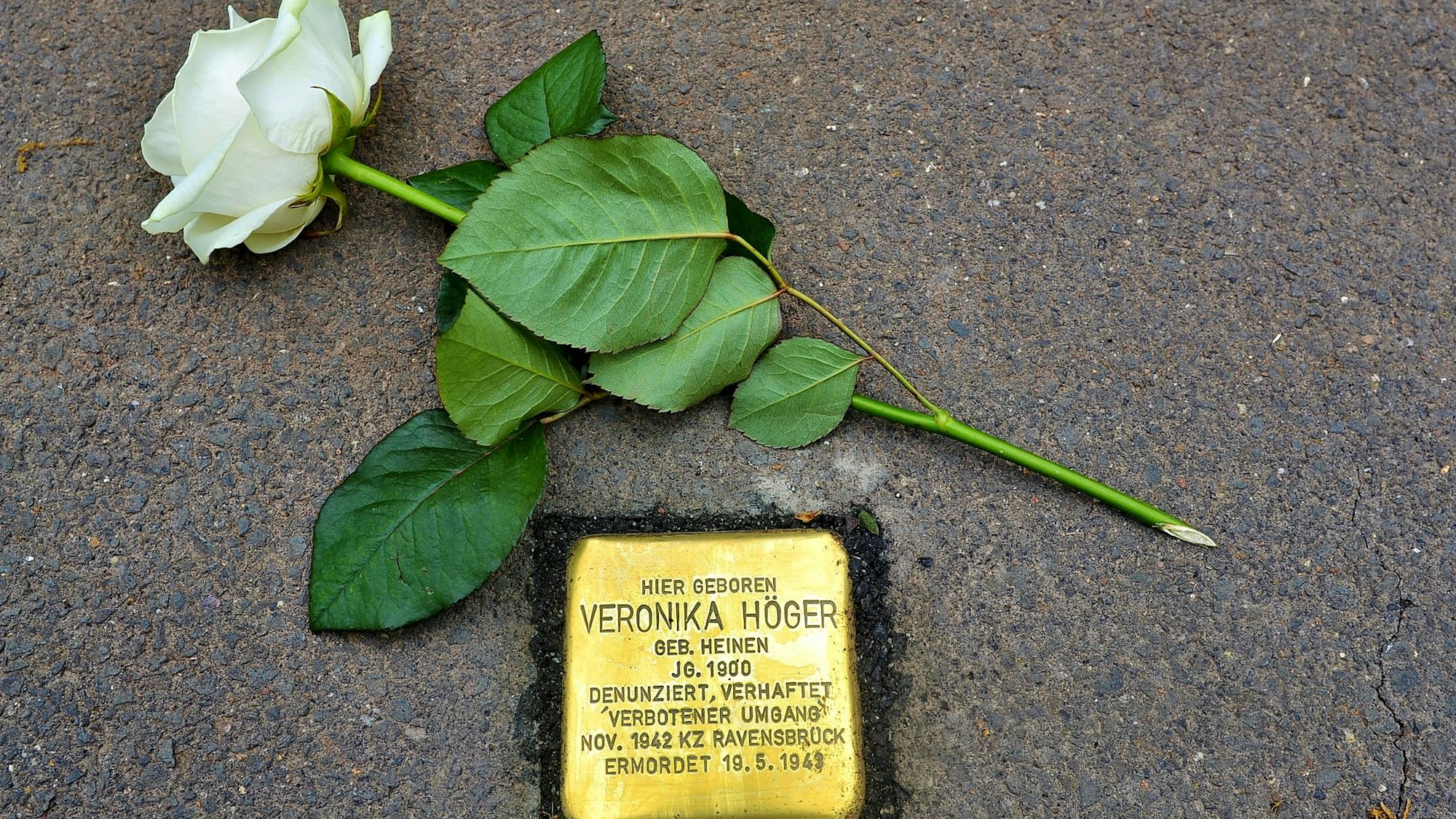 Auf dem Stoplerstein ist zu lesen: Hier geboren: Veronika Höger, geborene Heinen, Jahrgang 1900, Denunziert, Verhaftet, Verbotener Umgang (in Anführungszeichen), November 1942, KZ Ravensbrück ermordet: 16.5.1943. Über dem Stein liegt eine weiße Rose.
