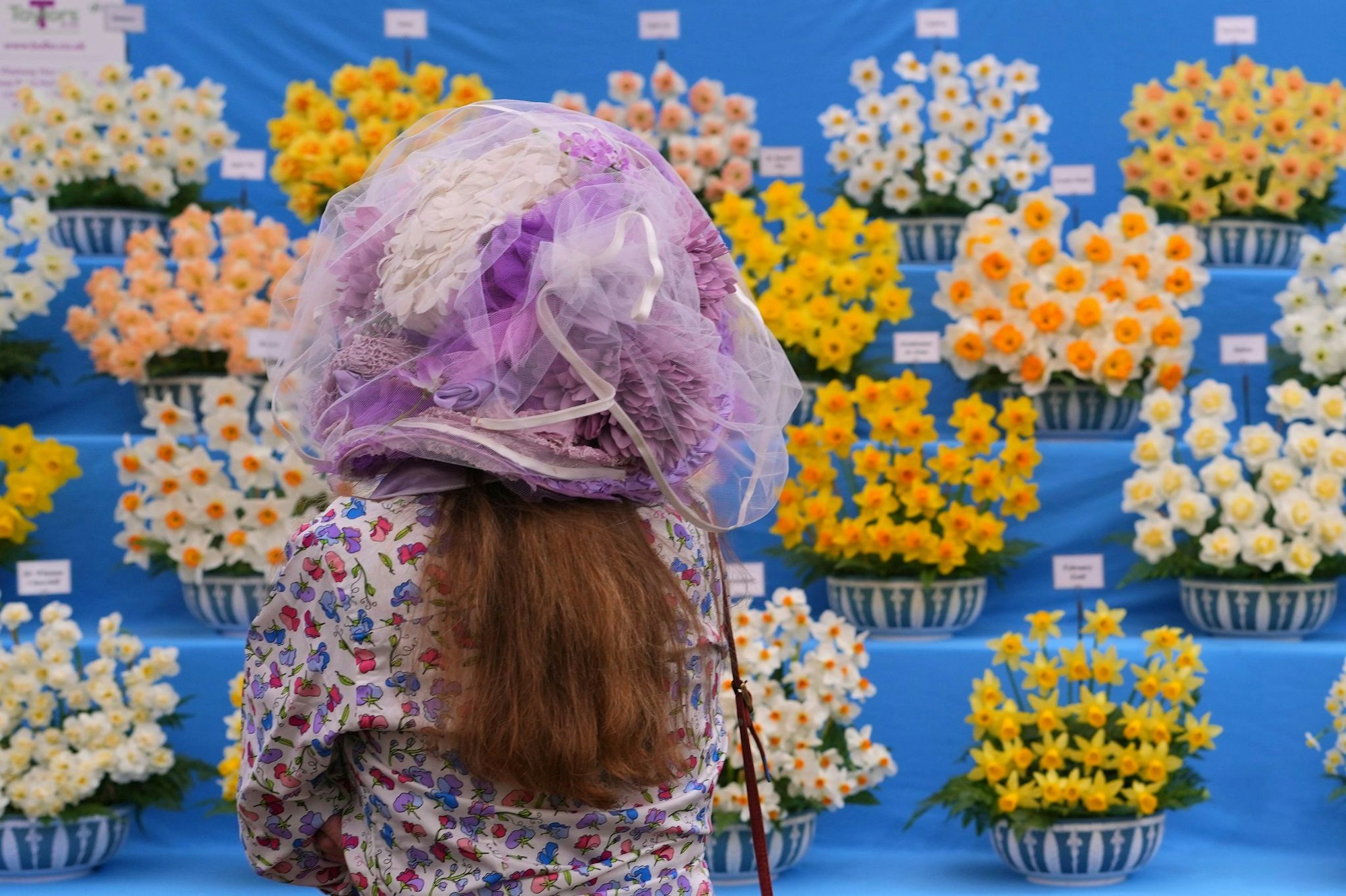 Chelsea Flower Show: Sehen und gesehen werden.