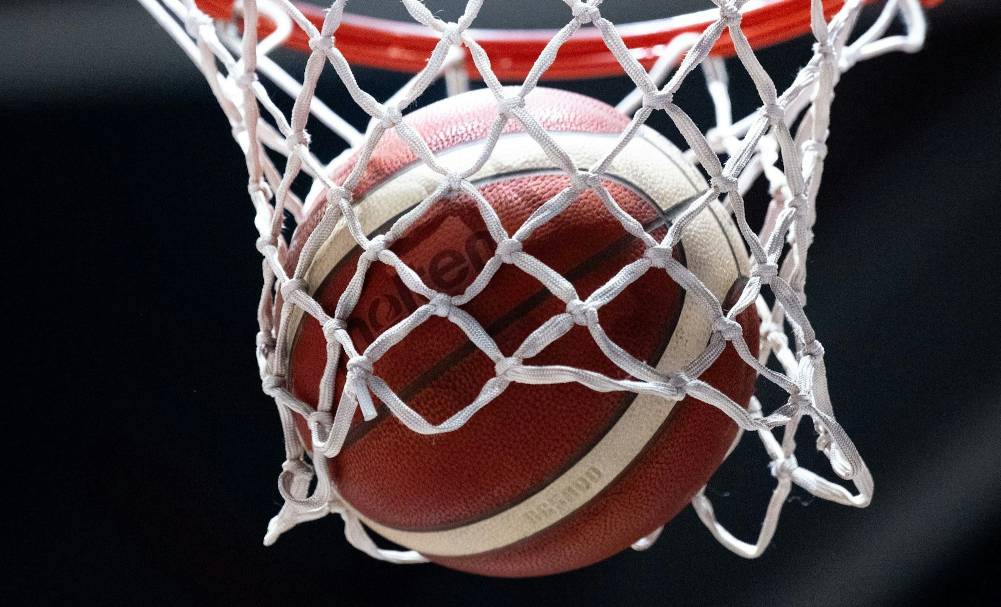 Die Vet-Concept Gladiators Trier steigen in die Basketball-Bundesliga auf.