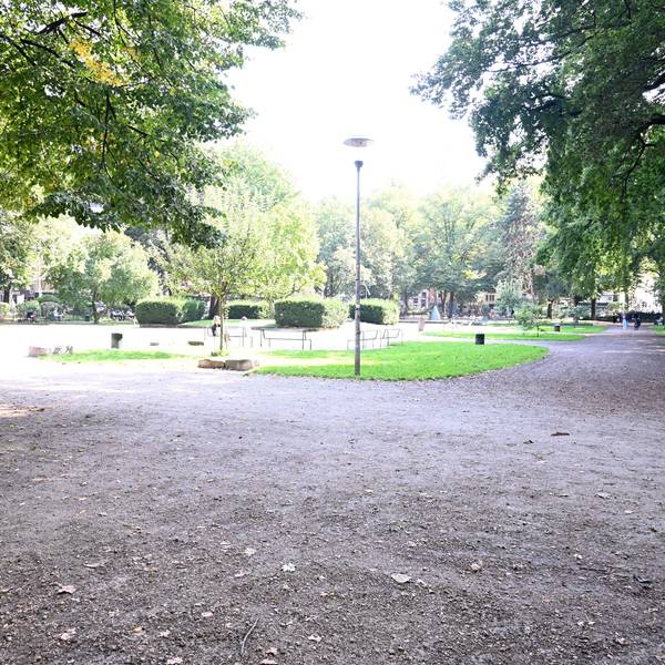 Schotterwege und Grünflächen mit hohen Bäumen am Rand sind zu sehen.