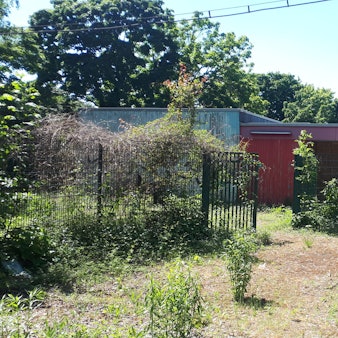 Ein zugewachsenes Kita-Grundstück