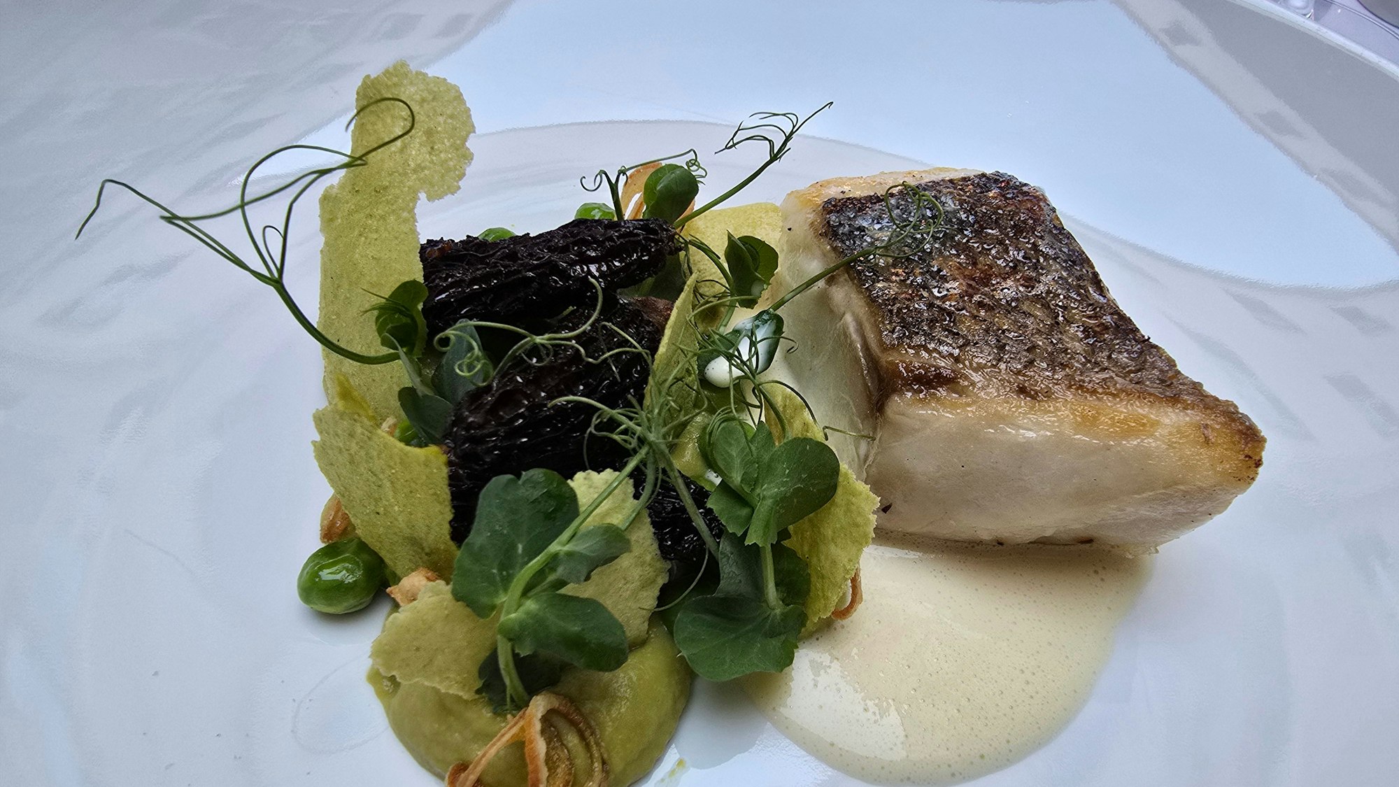 Wolfsbarsch mit Erbsenpüree und Spitzmorcheln