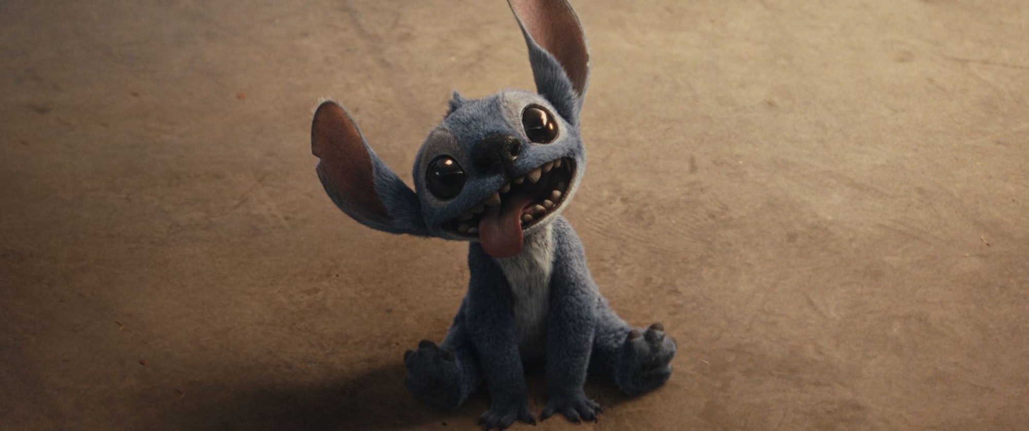 Im Zeichentrick wie auch in der neuen Realfilm-Adaption (Bild): Stitch sieht richtig knuffig aus, sorgt aber auch für mächtig viel Chaos. (Bild: 2025 Disney Enterprises)