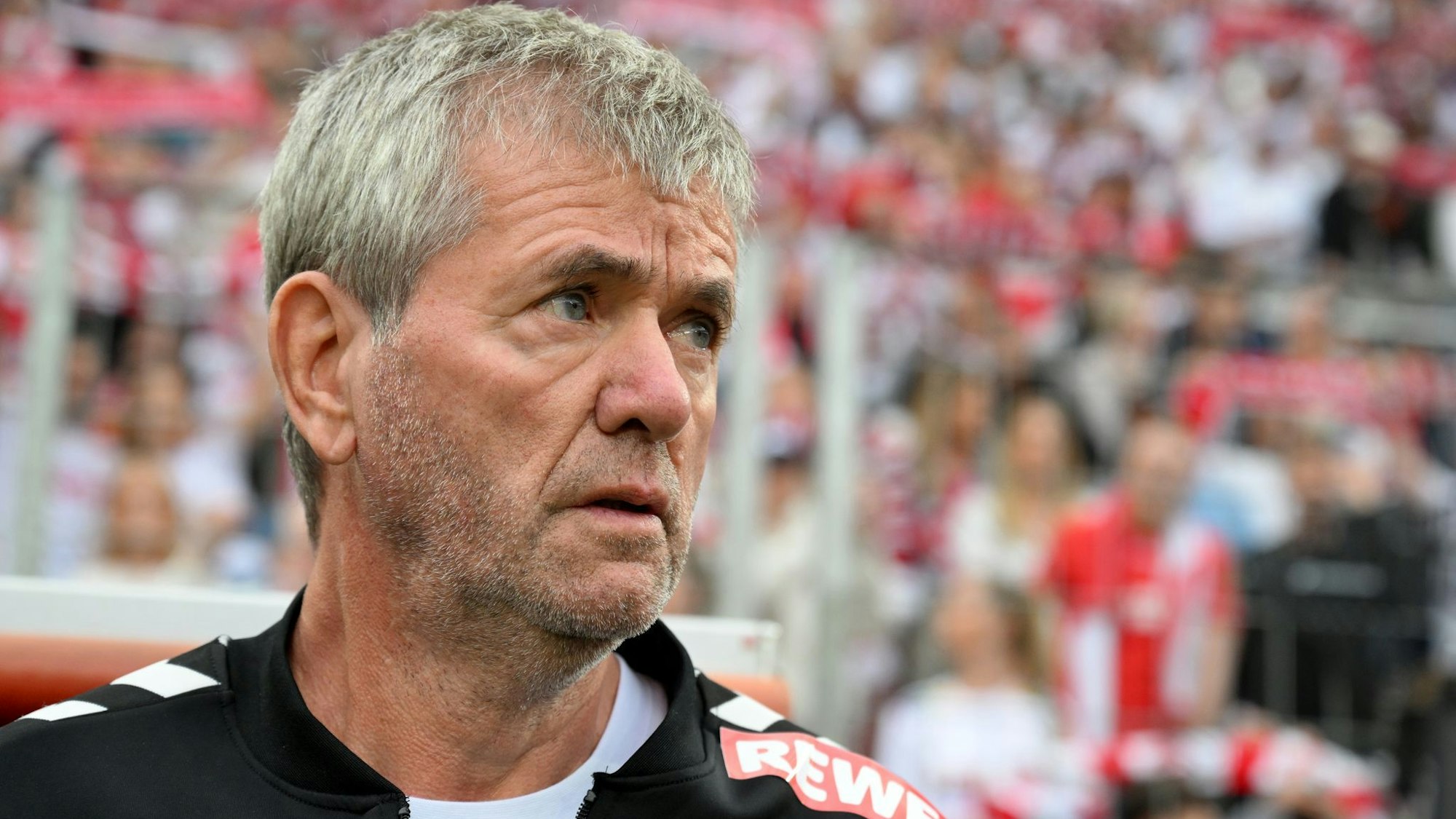 Soll laut Sky nicht als Köln-Trainer weitermachen: Friedhelm Funkel.