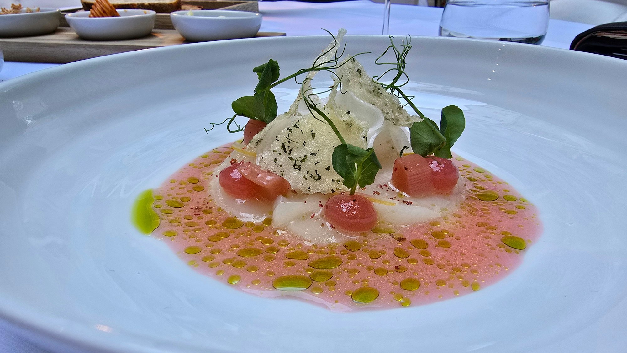 Ceviche von der Jakobsmuschel mit Rhabarberstücken und dünn gehobeltem Rettich.