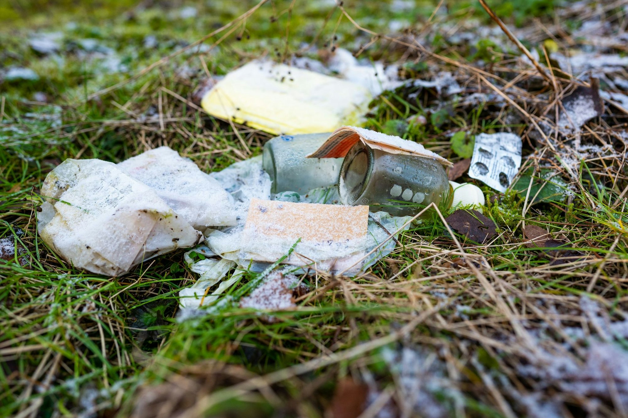 Müll im Wald schadet der Natur und gefährdet Tiere sowie Pflanzen. Wer den Wald besucht, sollte Abfälle deshalb immer wieder mitnehmen und sachgerecht entsorgen.