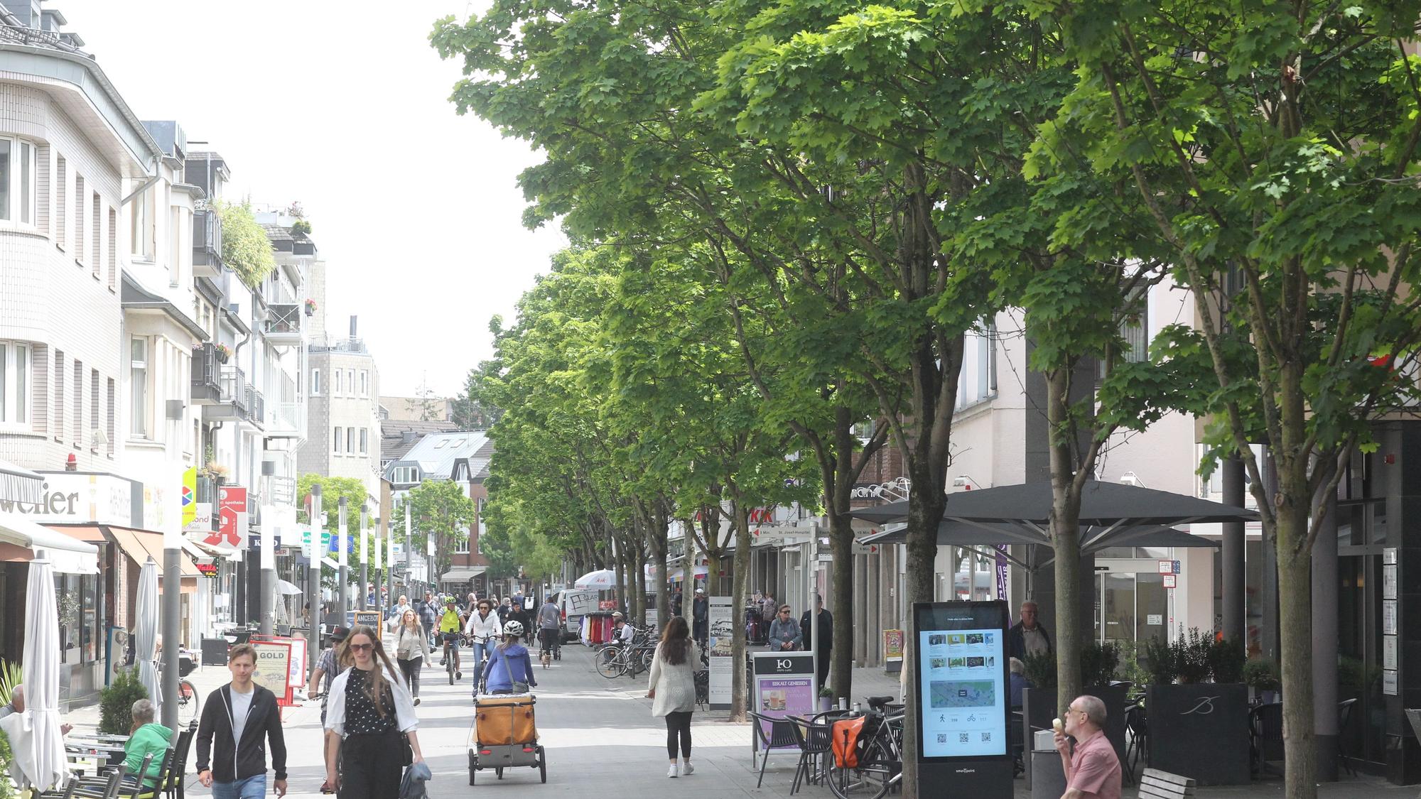 Insgesamt 71 Bäume sind entlang der Kölner Straße seit dem Jahr 2000 neu gepflanzt worden.