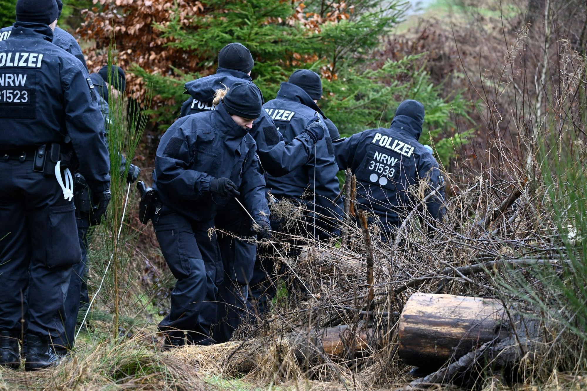 Das Mädchen wurde einige Kilometer entfernt von ihrem Zuhause in einem Waldstück an der Grenze zu NRW in Rheinland-Pfalz gefunden. (Archivbild)