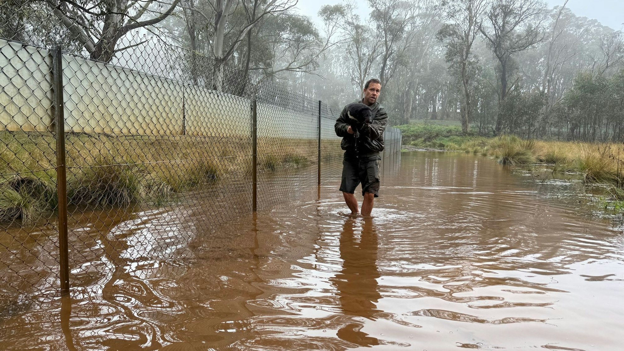 Aussie-Ark-Direktor Tim Faulkner brachte viele Tiere in Sicherheit - wie diesen Tasmanischen Teufel.