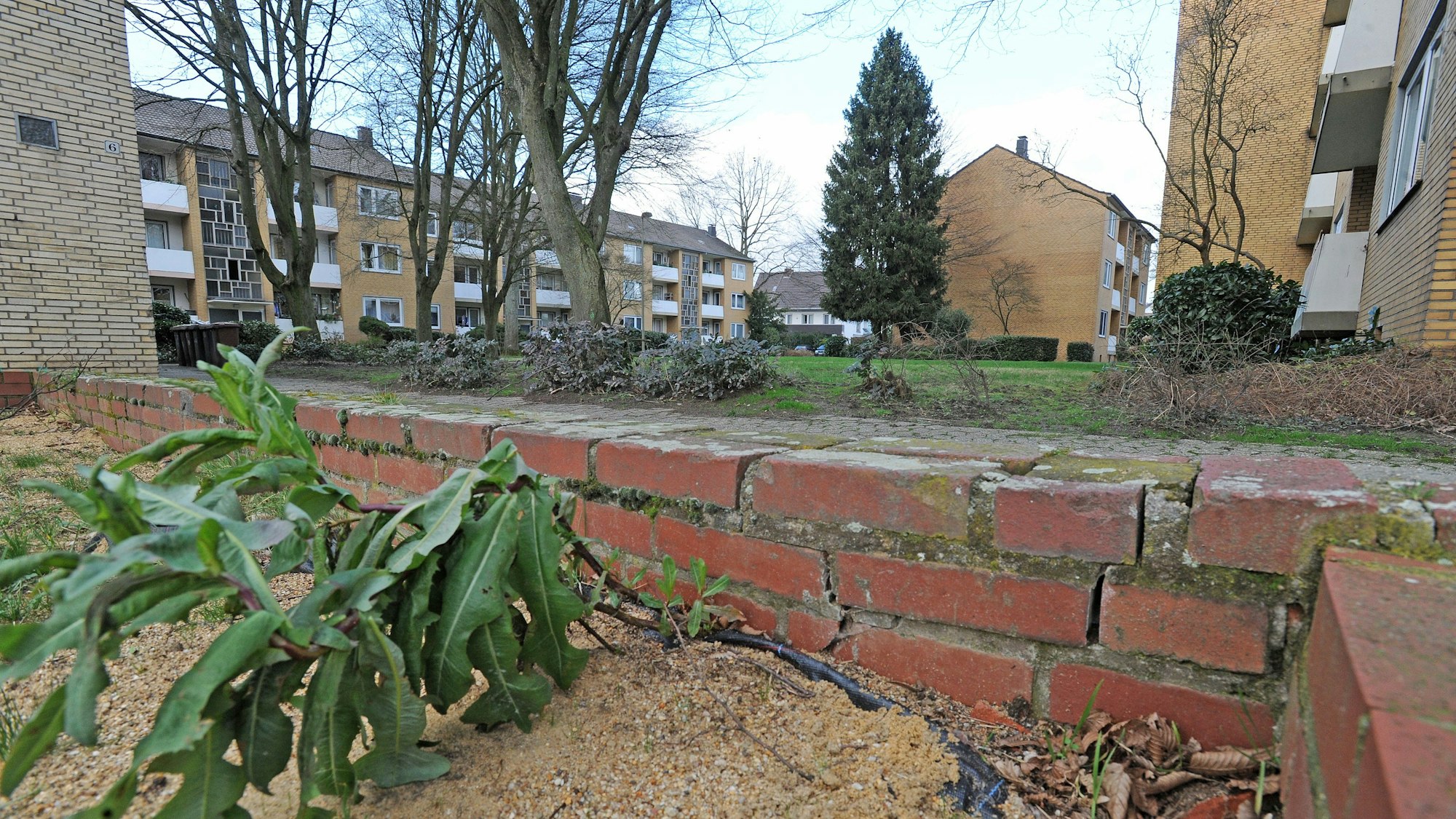 Die alten Bebauungen in Cremers Weiden, seien häufig marode und nicht barrierefrei. (Archivbild)