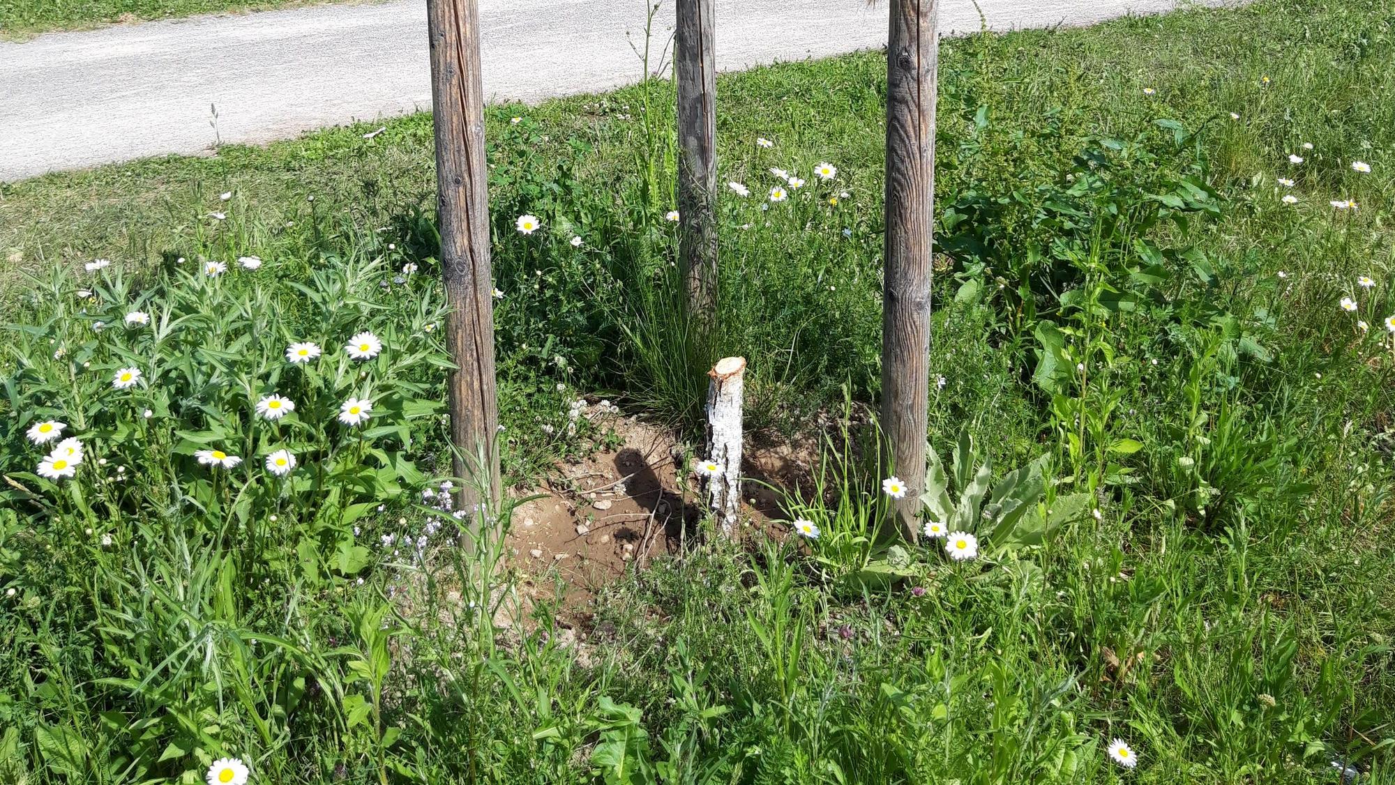 Ein zweiflügliges Tor, das zu einem Park führt, ist völlig verbogen.