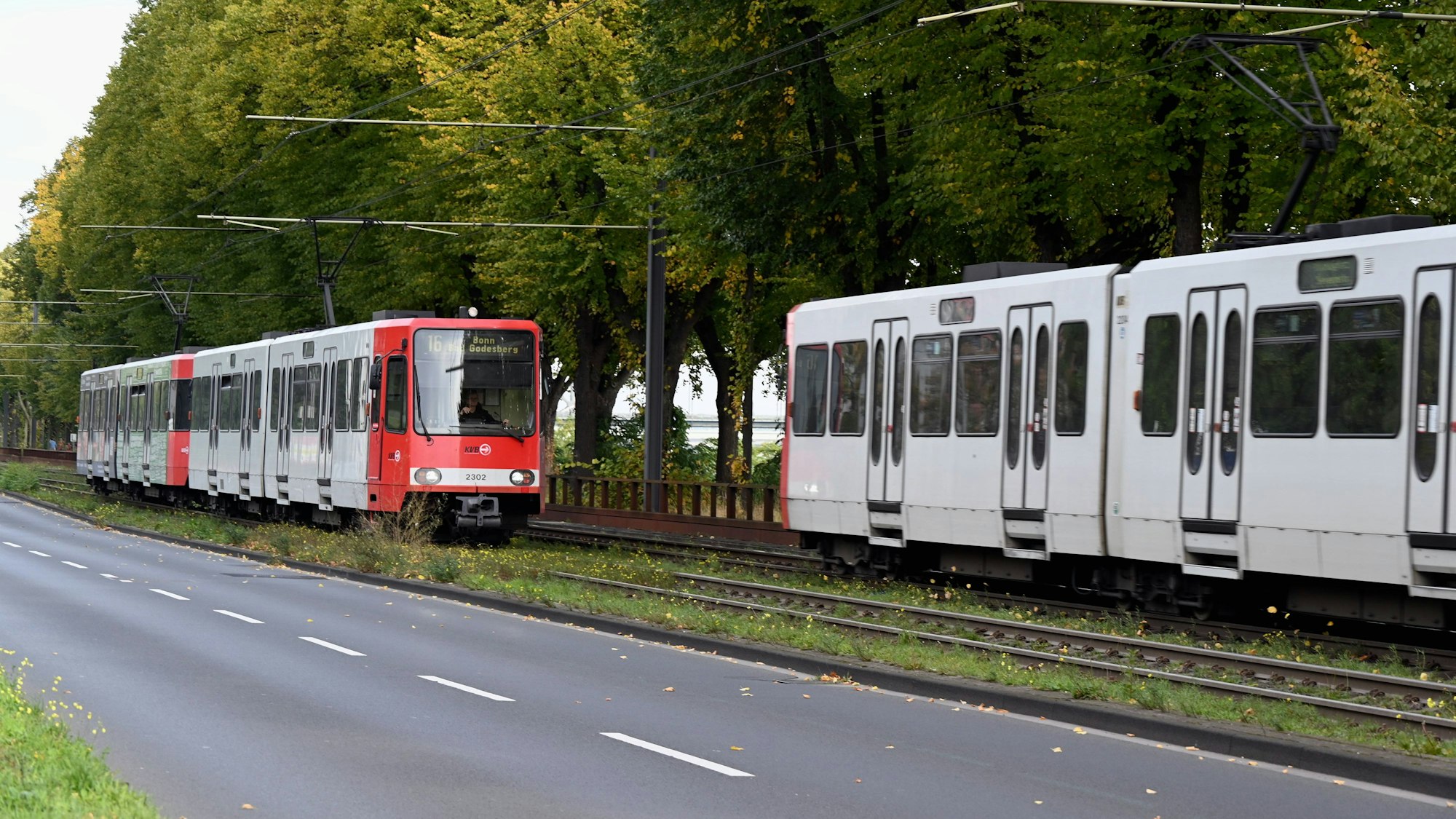Strassenbahn des öffentlichen Nahverkehr, Kölner Verkehrsbetriebe KVB, *** Streetcar of the public transportation system, Kölner Verkehrsbetriebe KVB,