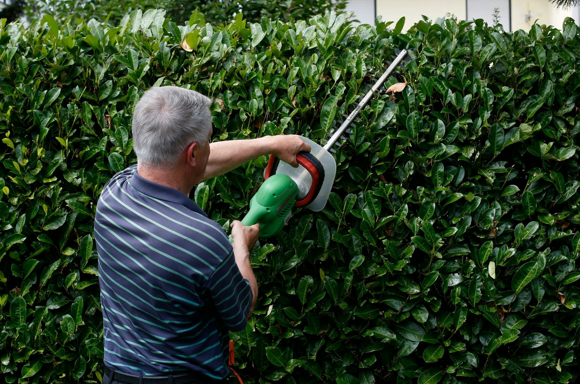 Kahlschlag? Manchmal kann eine Hecke auch die Sicht im Verkehrsgeschehen behindern - in einem Fall wurde deswegen eine Stadt verklagt.
