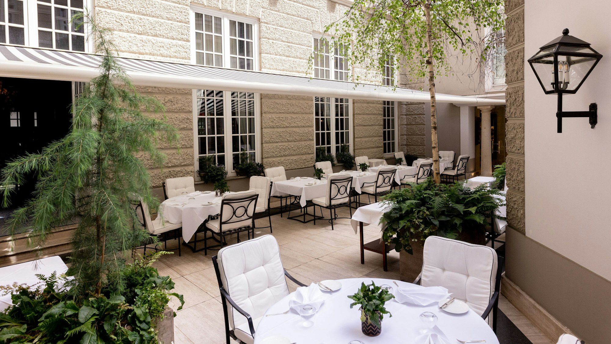 Terrasse mit geposterter Bestuhlung und Grünpflanzen