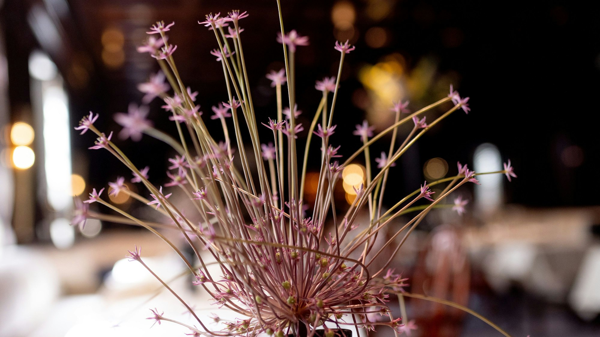 Deko in der Hanse Stube im Kölner Hotel Excelsior. (Archivbild)