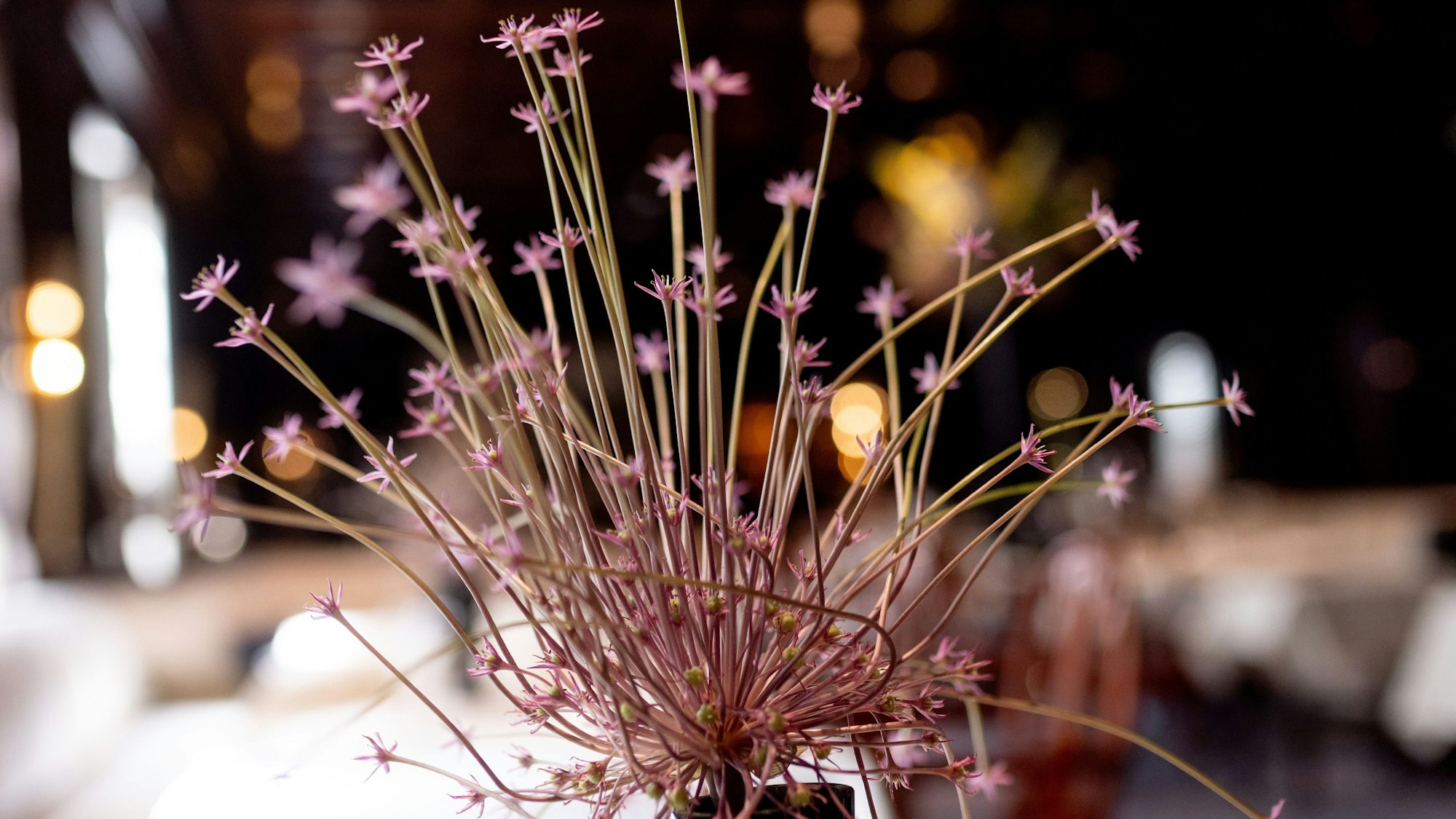 Tischgedeck in der Hanse Stube. (Archivbild)