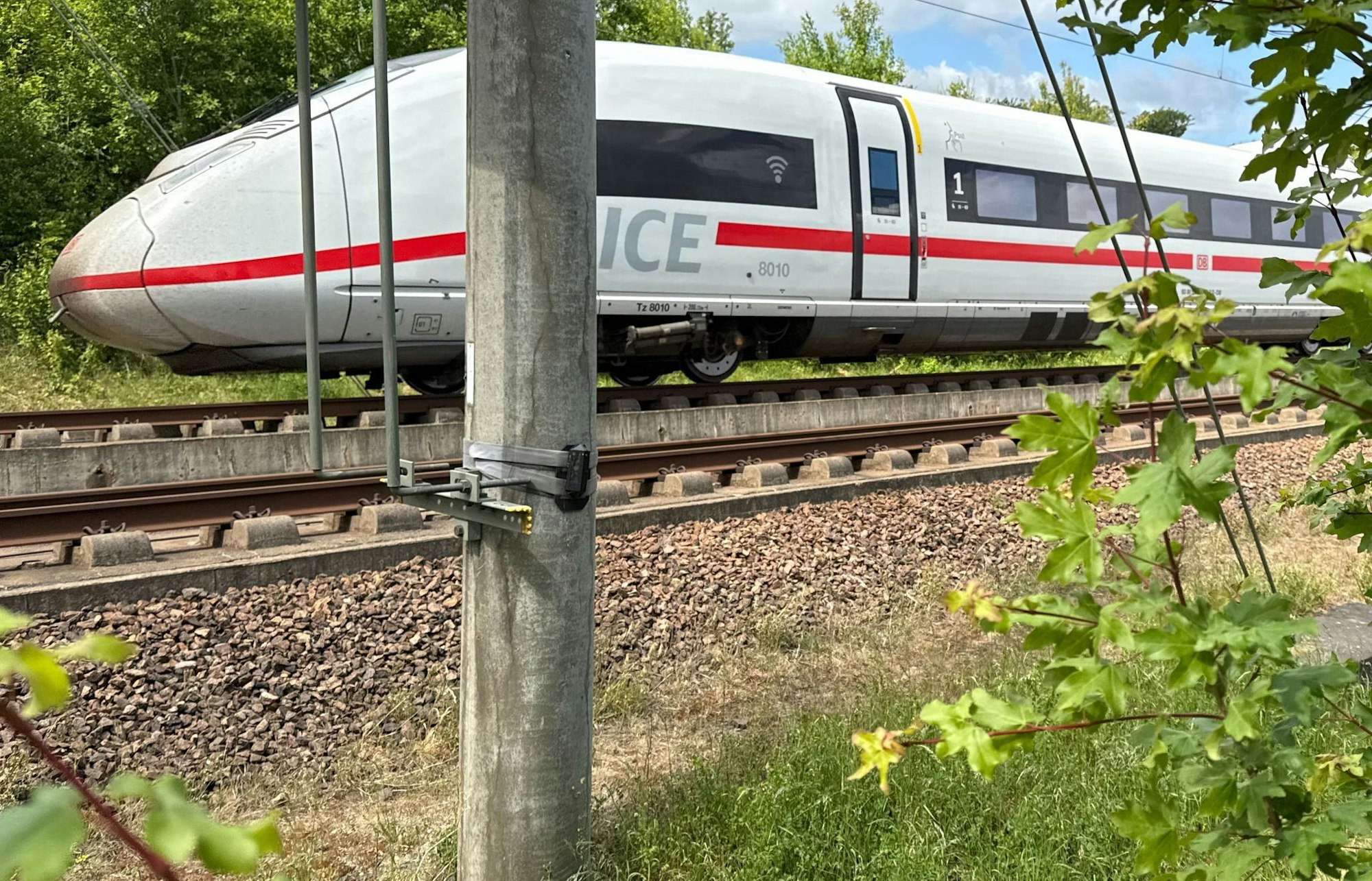 Ein ICE passiert einen Mast, an dem ein Wildwarner angebracht ist.