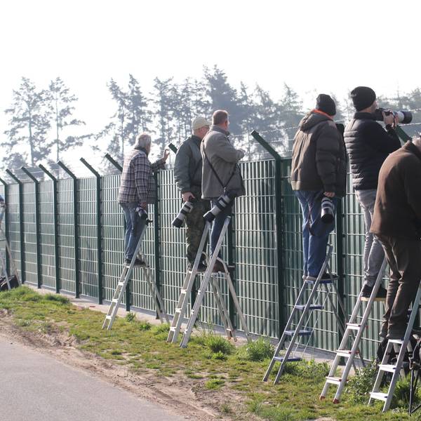 Das Foto zeigt „Planespotter“ am Fliegerhorst Nörvenich.