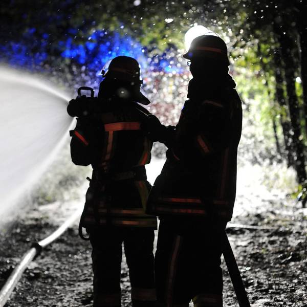 Das Bild zeigt Feuerwehrkräfte beim Löschen eines Waldbrandes.