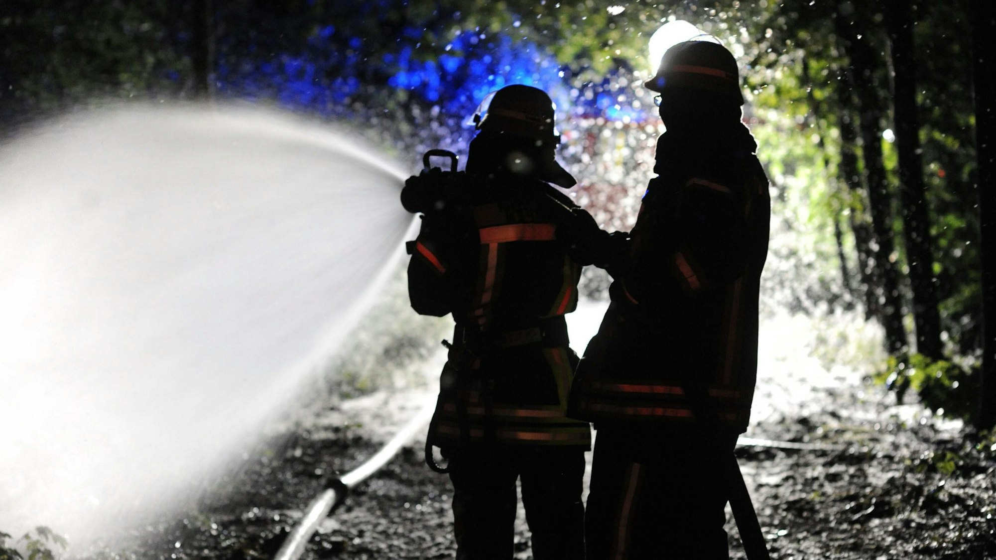 Das Bild zeigt Feuerwehrkräfte beim Löschen eines Waldbrandes.