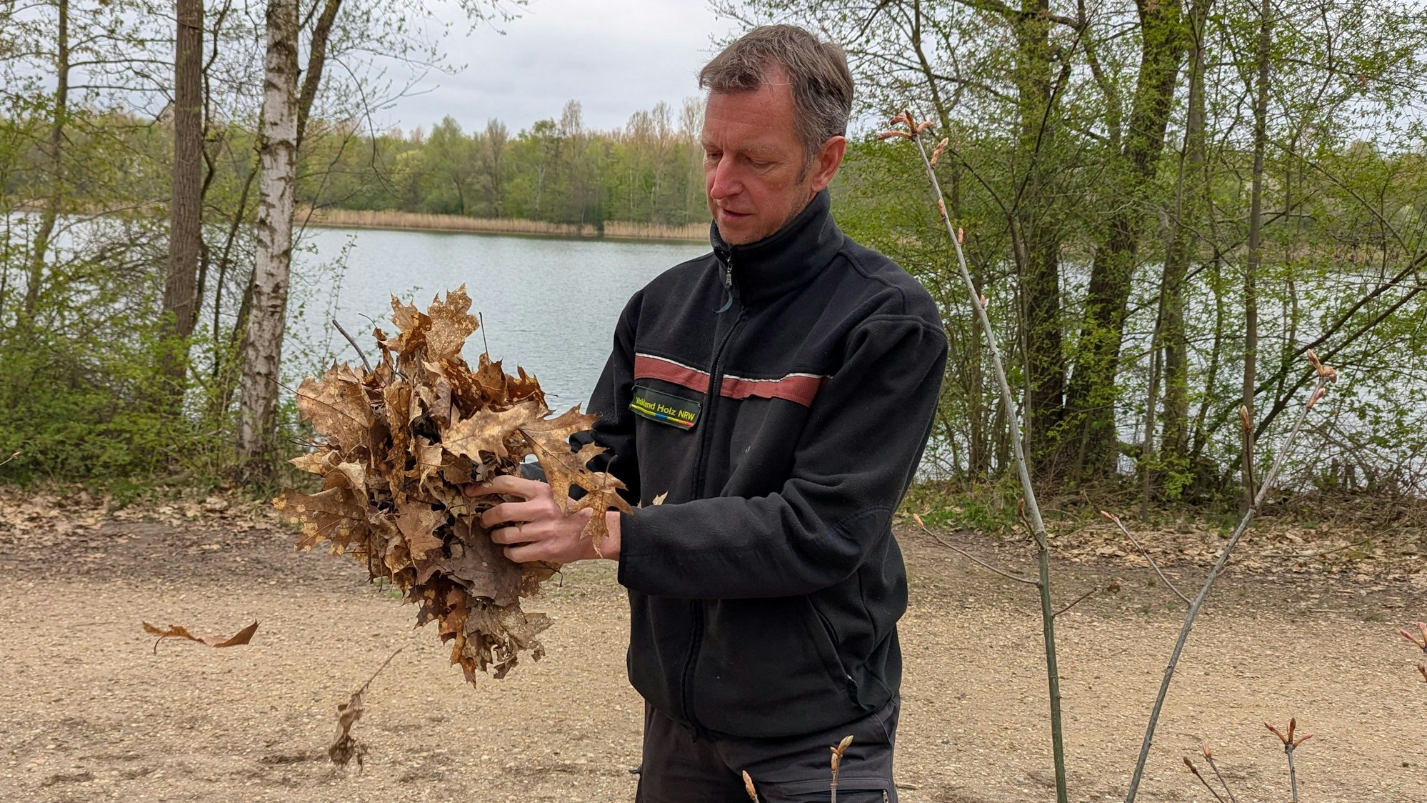 Revierförster Frank Mayer lässt trockenes Laub durch seine Hände rieseln.