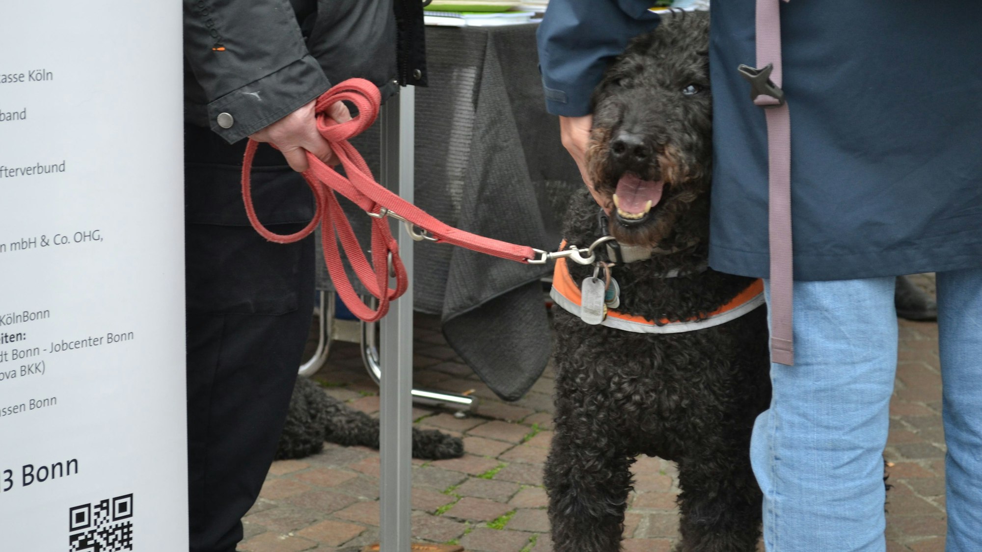 Blindenhund Ake lockte die Besucher an den Stand der Ortsgruppe des Deutschen Blinden- und Sehbehindertenverbands.