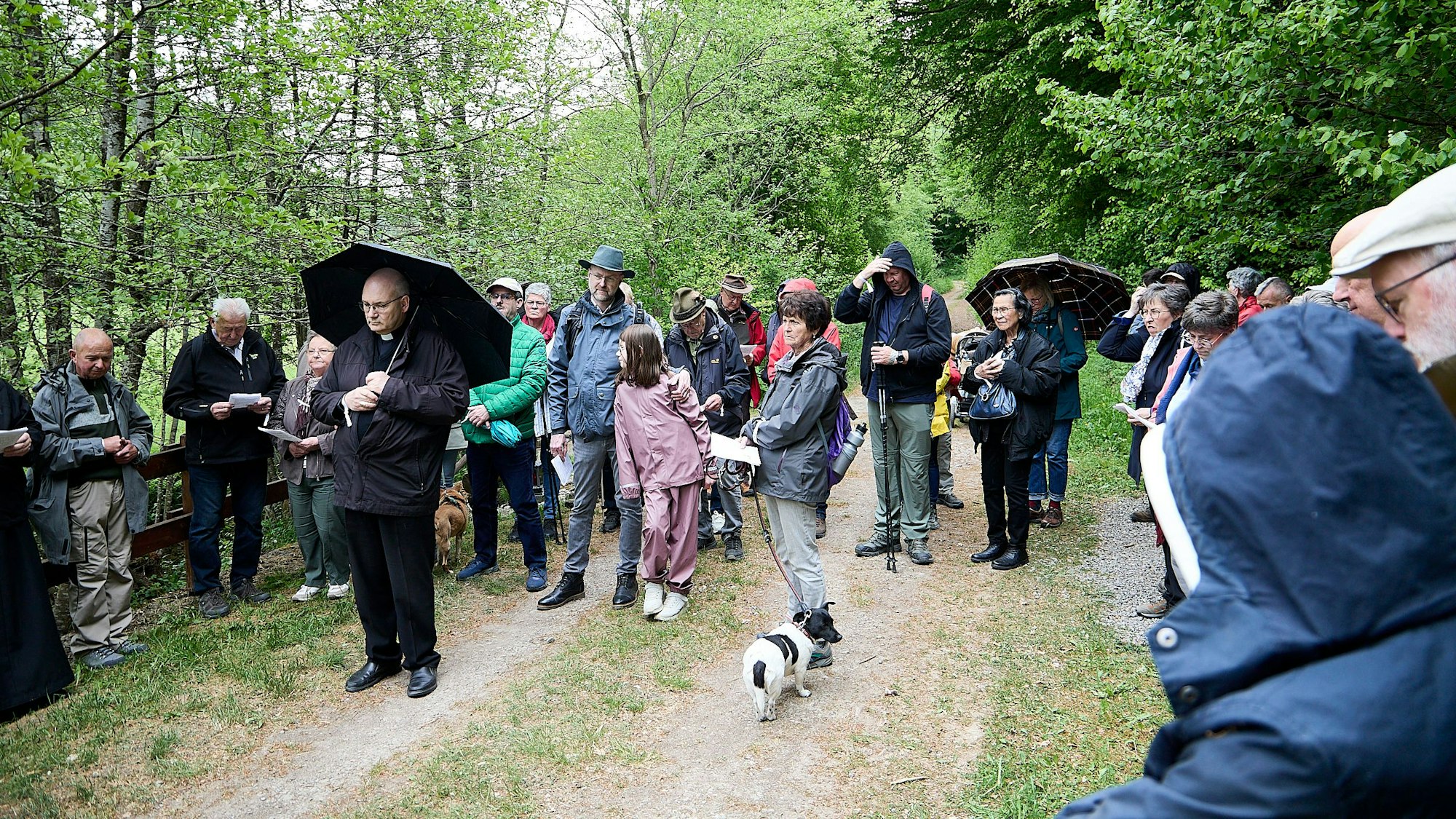 Pilger stehen bei Regen auf einem Waldweg.