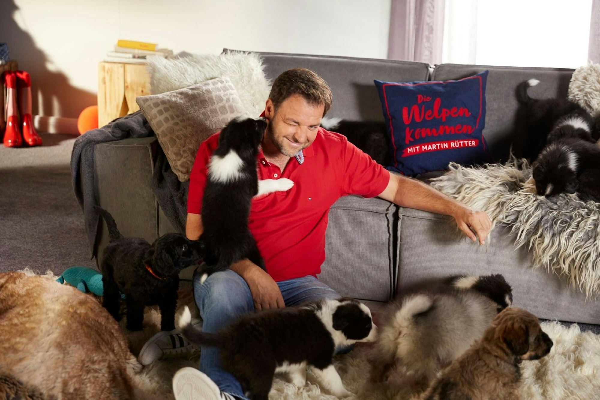 Der bekannte Hundetrainer Martin Rütter präsentiert bei RTL „Die Welpen kommen“. (Bild: RTL / Arya Shirazi)